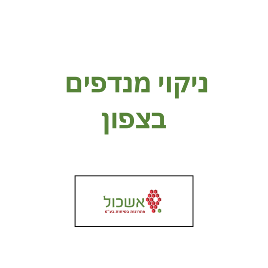 ניקוי מנדפים בצפון